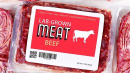 lab grown meat secrets